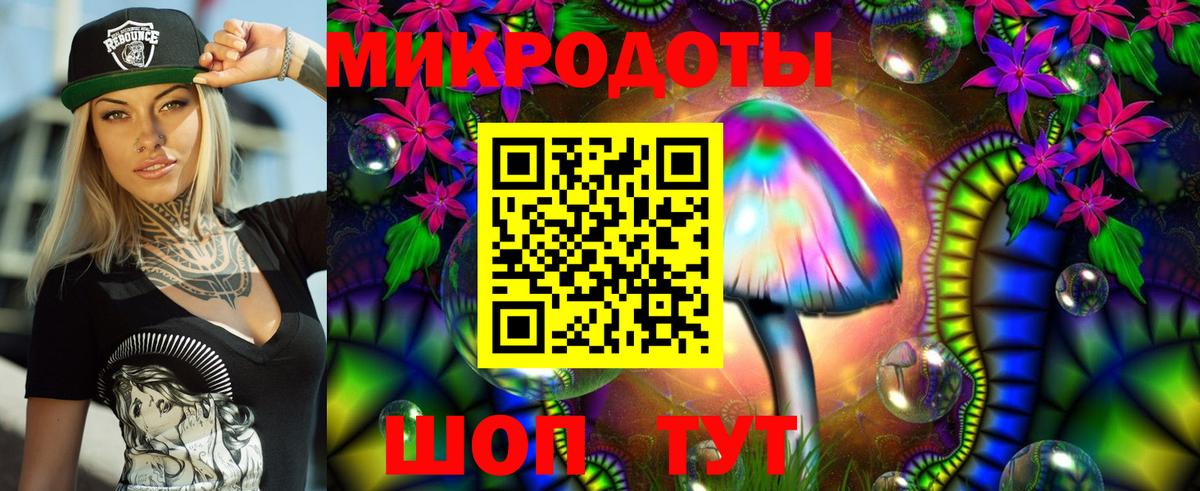 Псилоцибиновые грибы Psilocybe  Вход с VPN  Юрга 